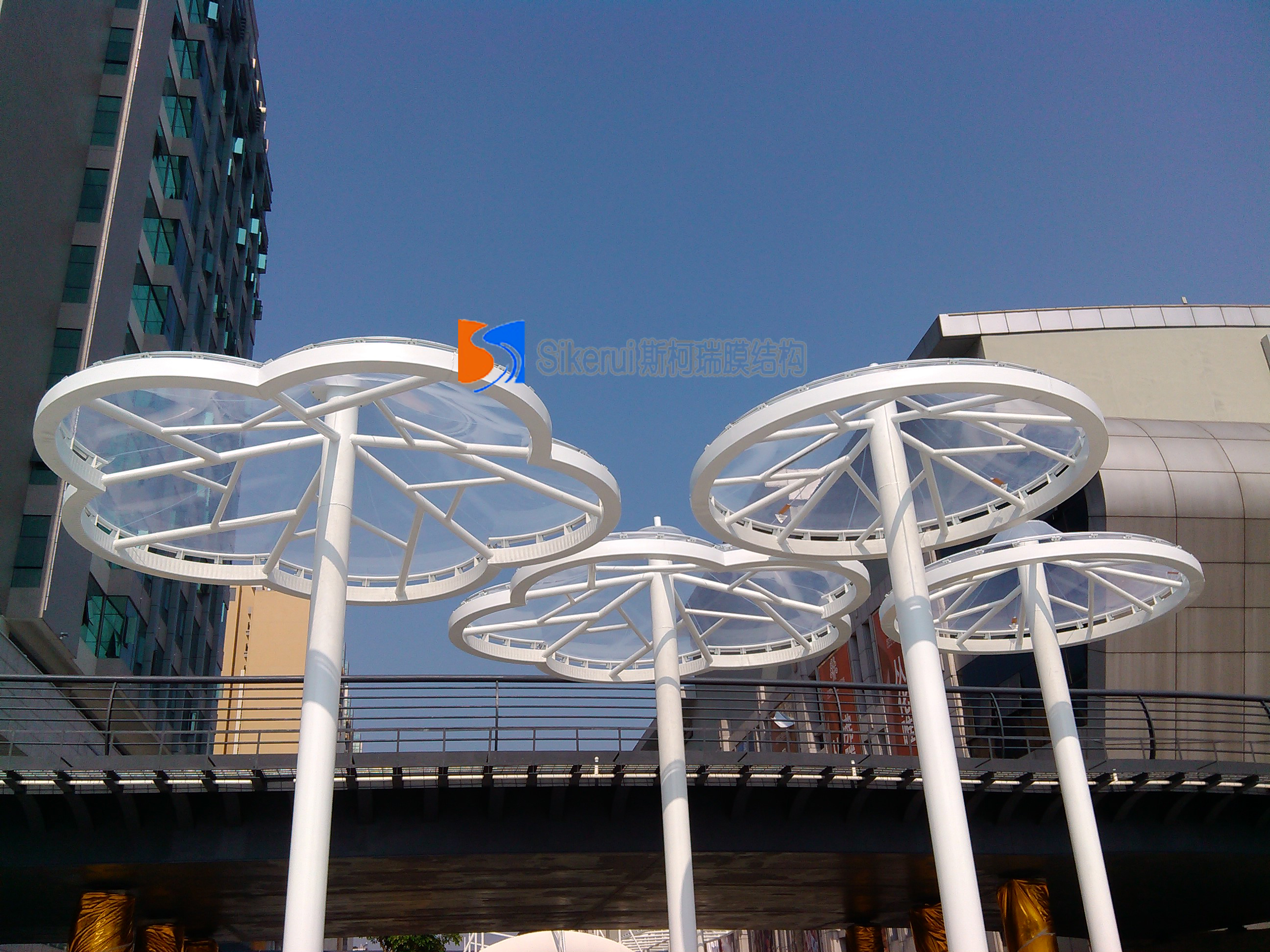 膜结构，张拉膜，膜结构工程